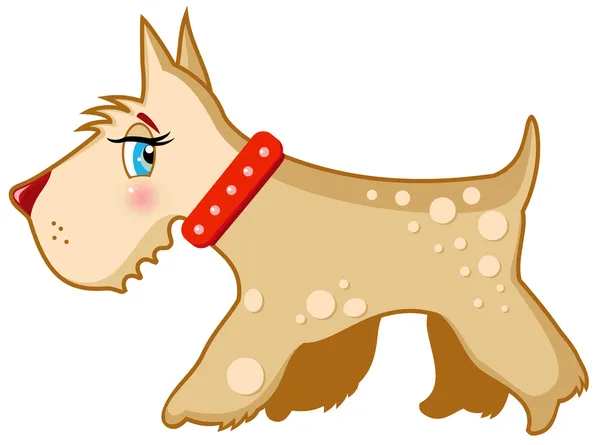 Vector hond schnauzer Terriër — Stockvector