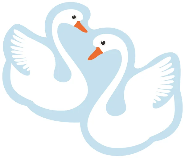 Dos cisnes blancos — Vector de stock