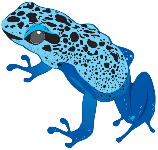Вектор синя жаба — стоковий вектор
