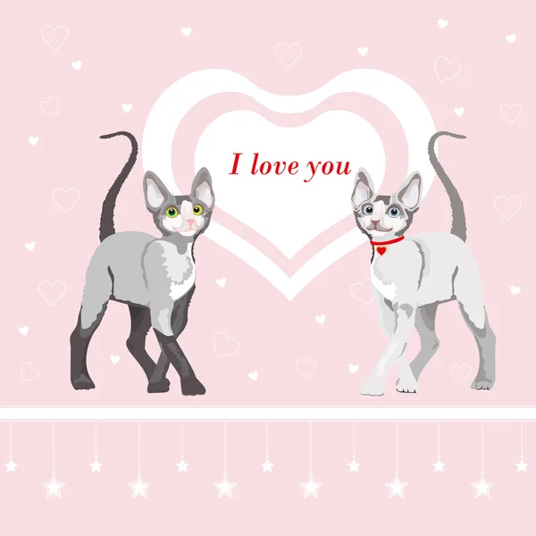 Twee schattige kat: Valentijnsdag illustratie — Stockvector