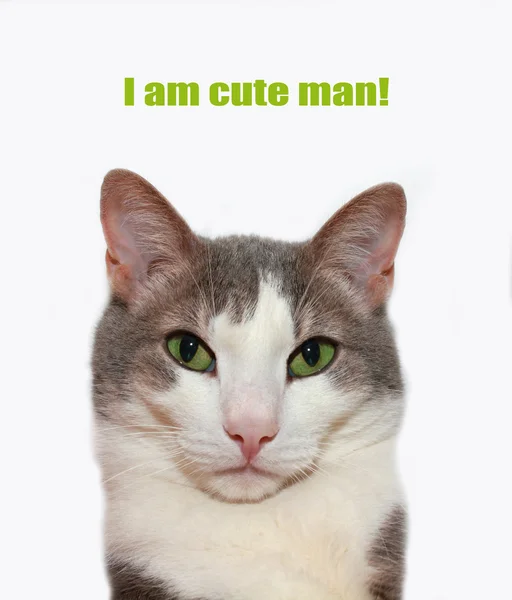 I am cute man! — Stock Photo, Image