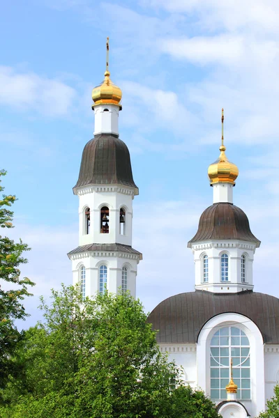 De kathedraal van de moeder van god in Archangelsk — Stockfoto
