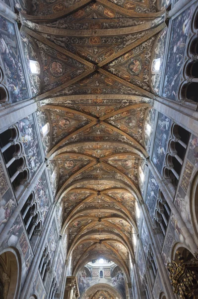 Duomo di Parma, interno — Foto Stock