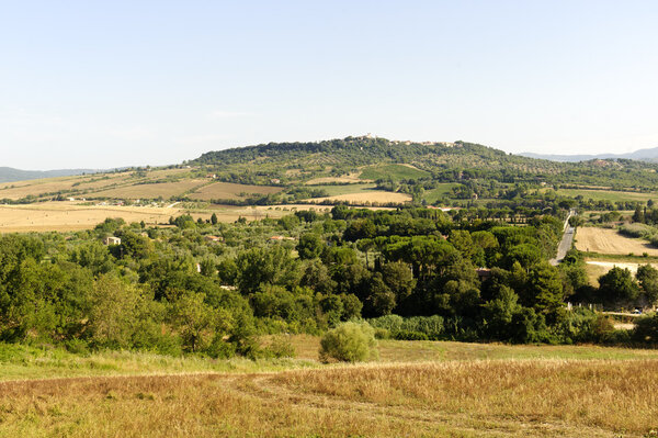 Maremma (Tuscany, Italy), country landscape at summer near Saturnia