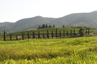 Maremma (Toskonya peyzaj)