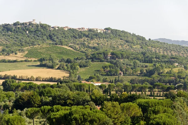 Landscape in Maremma (Tuscany) — Stock Photo, Image