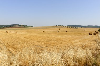 Maremma (Toskonya peyzaj)