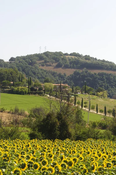 Landschap in de Maremma (Toscane) — Stockfoto