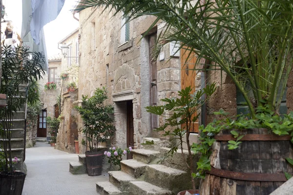 stock image Pitigliano (Tuscany, Italy)