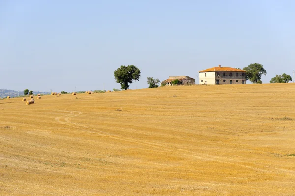Letní krajina v regionu Lazio (Itálie) — Stock fotografie