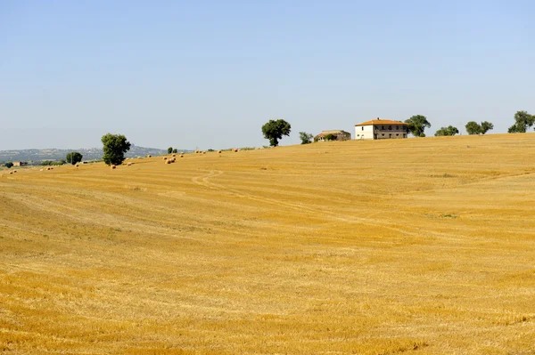 ラツィオ (イタリアの夏の風景) — ストック写真