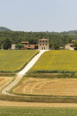 çiftlik Umbria