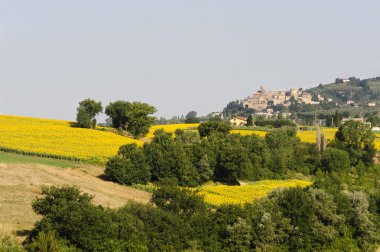 todi Umbria içinde yatay