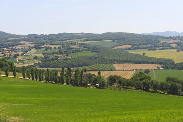 Farm in Umbria — Stock Photo, Image