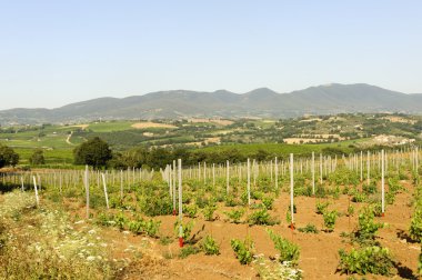 Kırsal kesimde Umbria (İtalya)