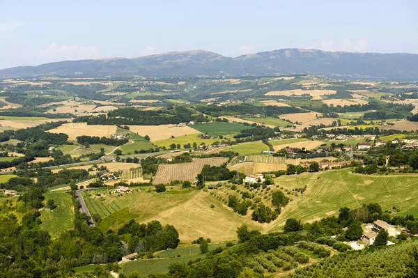 Venkovská krajina v Umbrii poblíž Todi (Perugia) na léto — Stock fotografie