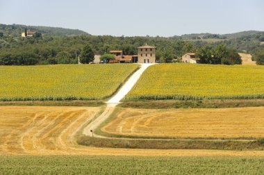 Farm in Umbria clipart