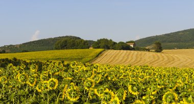 Landscape in Umbria near Todi clipart