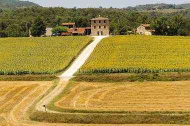 çiftlik Umbria