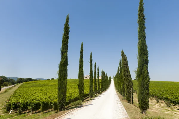 Agriturismo in Umbria — Foto Stock