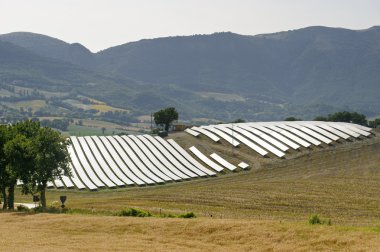 Landscape in Marches with solar panels clipart