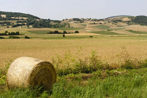 Krajina v Umbrii poblíž foligno — Stock fotografie