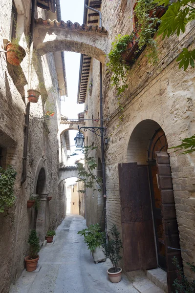 stock image Old street in Bevagna