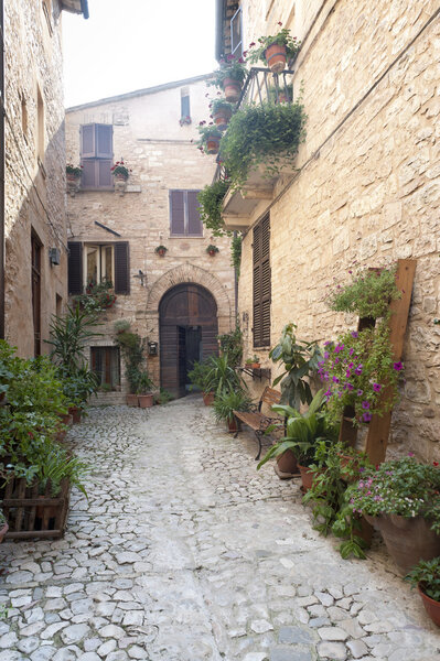 Spello (Perugia, Umbria, Italy), old typical street with potted plants and flowers