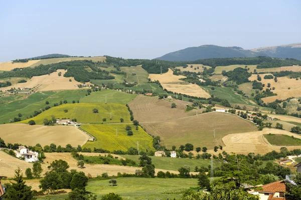 Marches, paysage en été — Photo