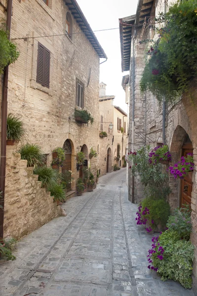 Spello, vecchia strada — Foto Stock