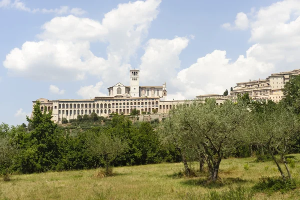 Assisi, alte Gebäude und Olivenbäume — Stockfoto