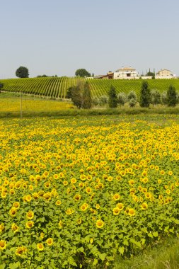 çiftlik Umbria