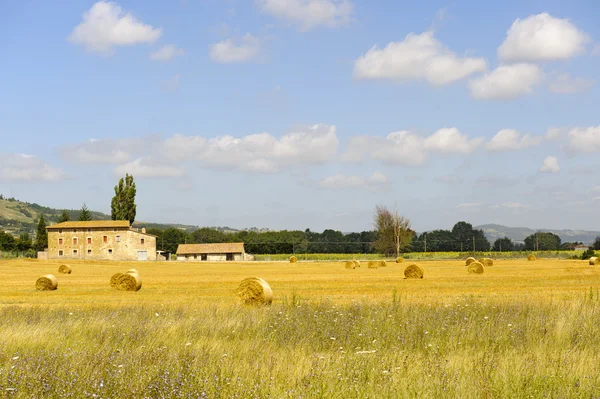Çiftlik Umbria — Stok fotoğraf