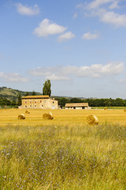 çiftlik Umbria