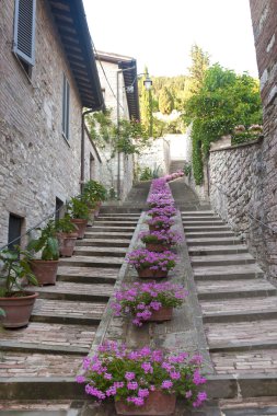 Gubbio (Perugia)