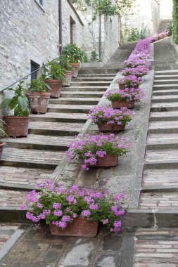 Gubbio (Perugia)