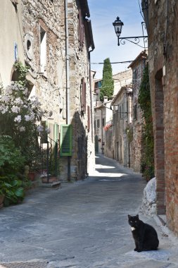 Montefollonico (Siena)