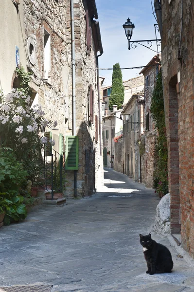 Montefollonico (Siena) — Fotografia de Stock