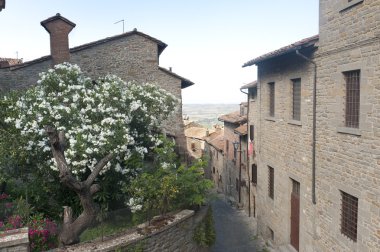 Cortona (Arezzo) clipart