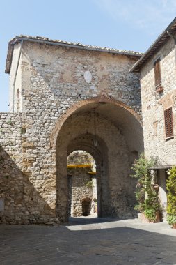 Montefollonico (Siena)