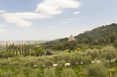 Montepulciano (Siena)