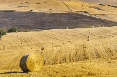 Val d'Orcia (Toskonya manzara)