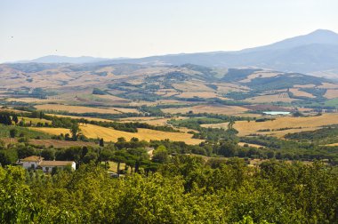 Val d'Orcia (Toskonya manzara)