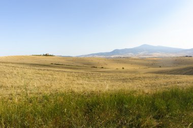 Val d'Orcia (Toskonya manzara)