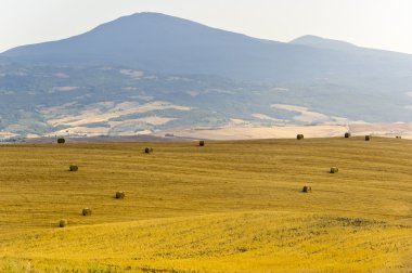 Val d'Orcia (Toskonya manzara)