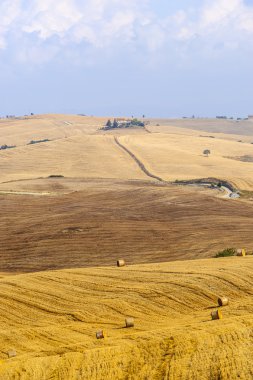 Val d'Orcia (Toskonya grupta)