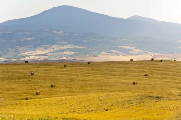 Val d'Orcia (Toskonya manzara)