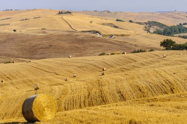 Val d'Orcia (Toskonya manzara)