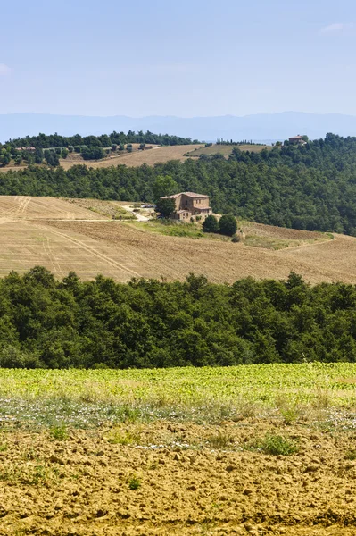 Farm in Val d'Orcia — Stock Photo, Image