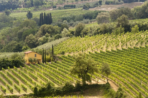 Farma v údolí Val d'Orcia — Stock fotografie